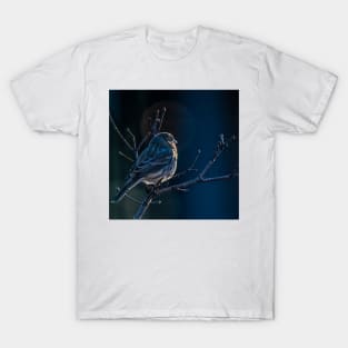 Finch At First Light T-Shirt